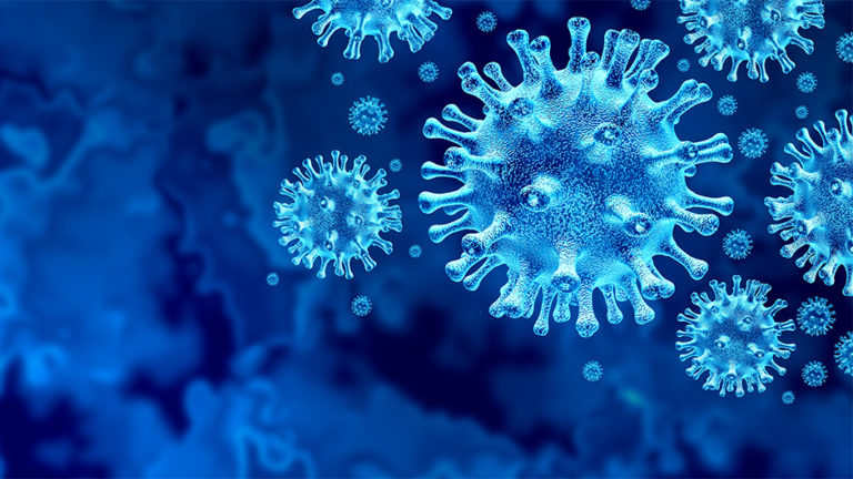 istock_1206774789_940x529_8f41014e-65cf-4c63-aa25-7971b12e9ddd